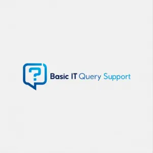 Basic IT Query Support