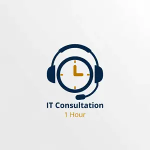 IT Consultation (1 Hour)